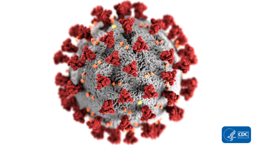 COVID_19-Corona-Virus
